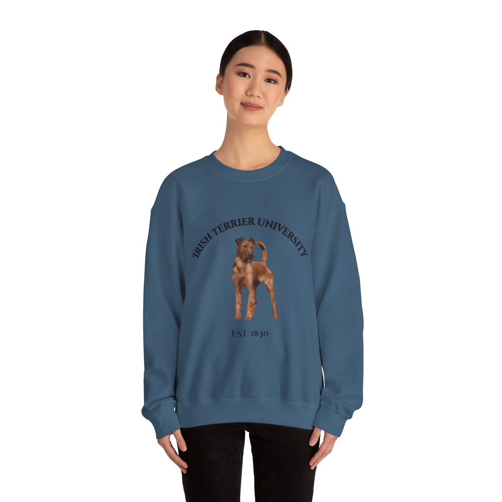 Irish Terrier University Sweatshirt - "Proudly Representing the Best of the Breed!"