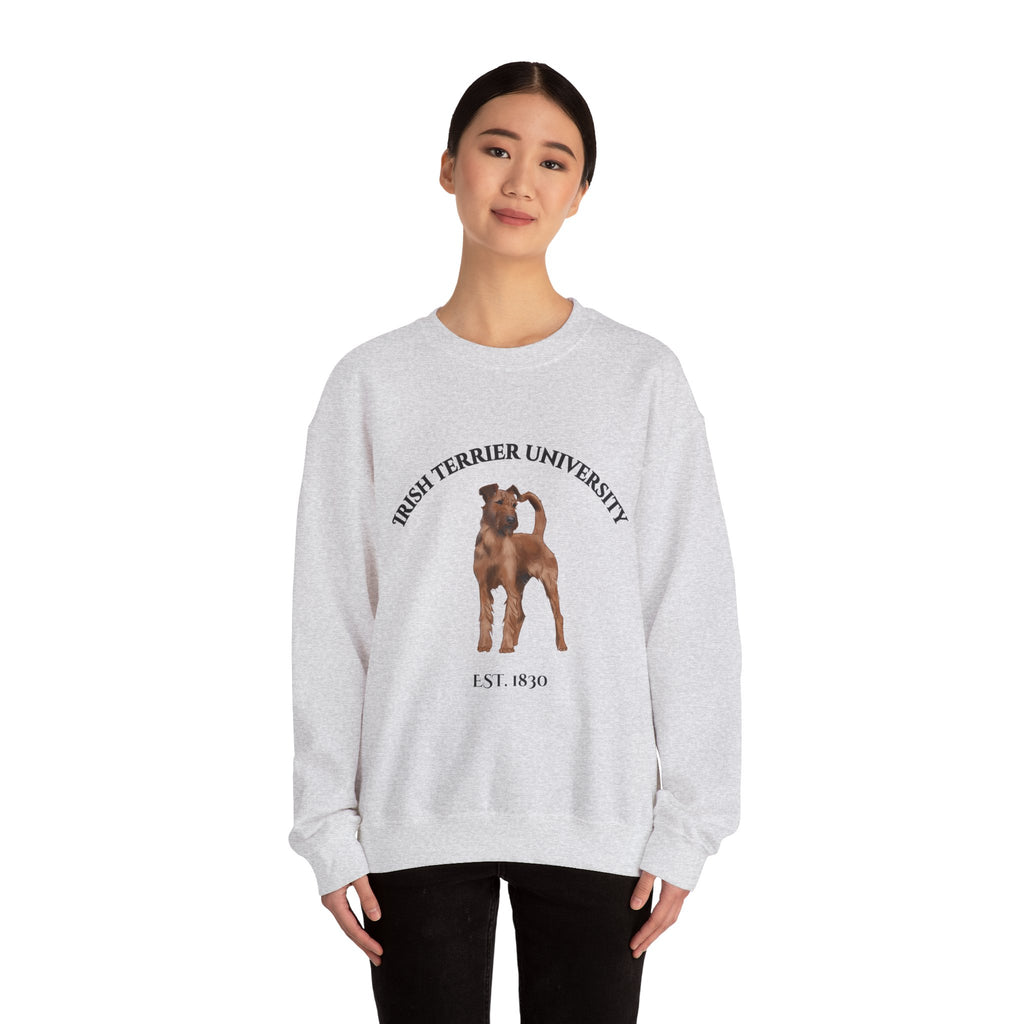 Irish Terrier University Sweatshirt - "Proudly Representing the Best of the Breed!"