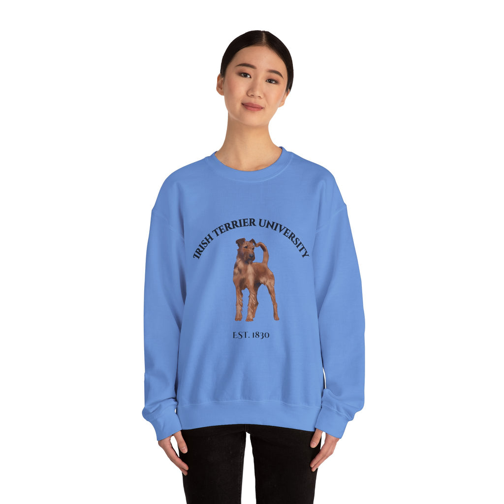 Irish Terrier University Sweatshirt - "Proudly Representing the Best of the Breed!"