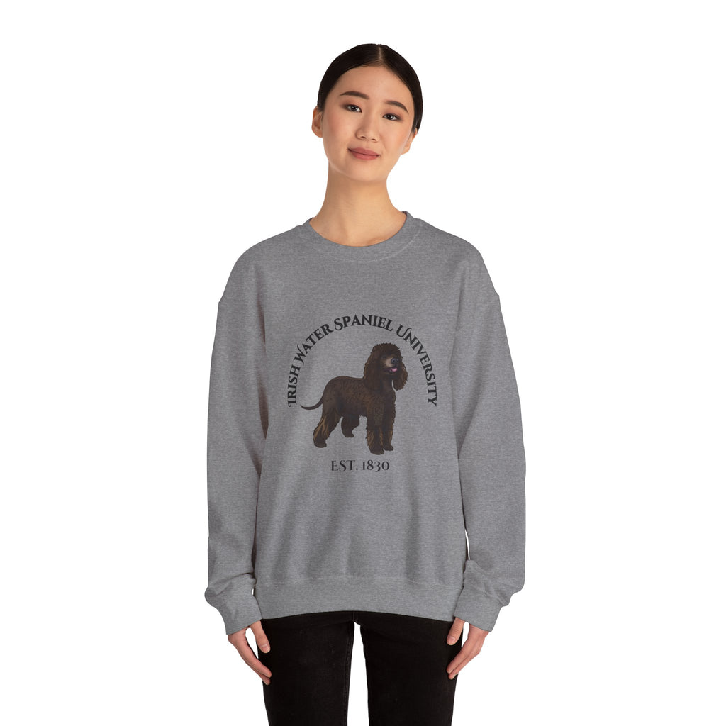 Irish Water Spaniel University Sweatshirt  - "Proudly Representing the Best of the Breed!"