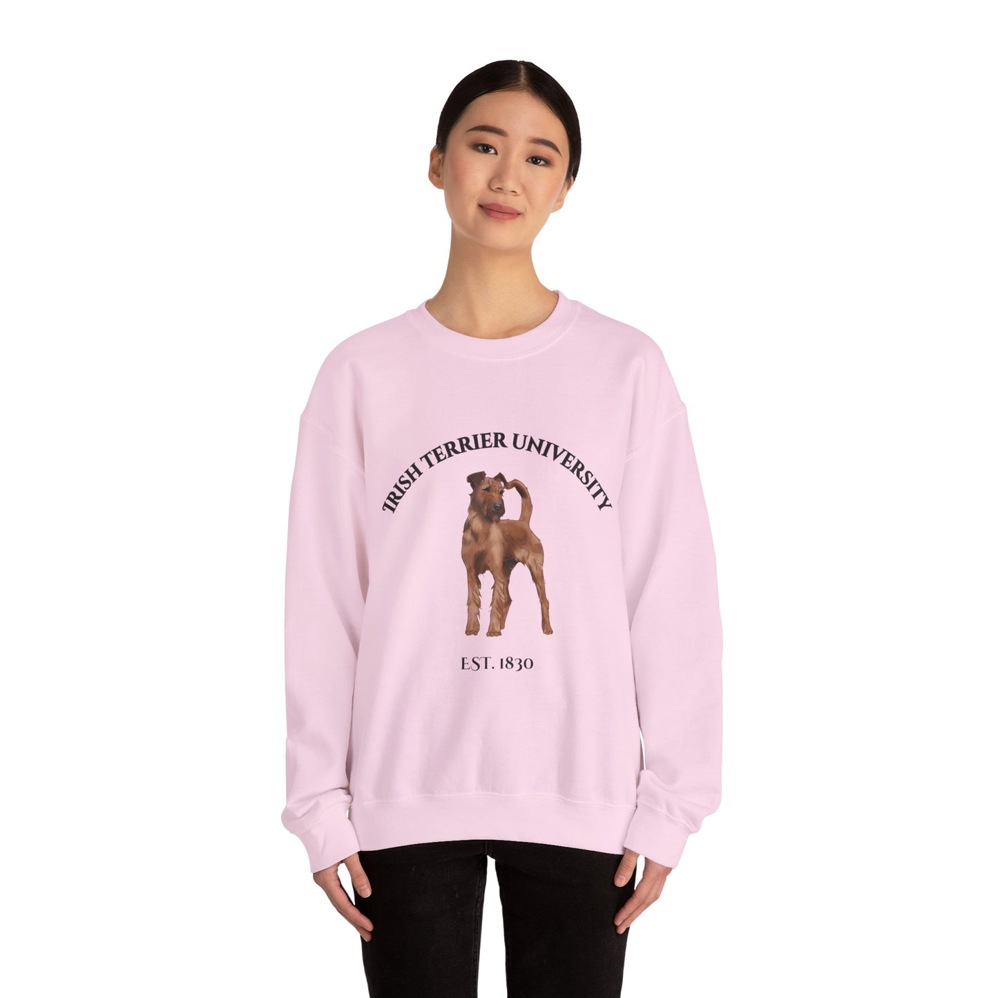 Irish Terrier University Sweatshirt - "Proudly Representing the Best of the Breed!"
