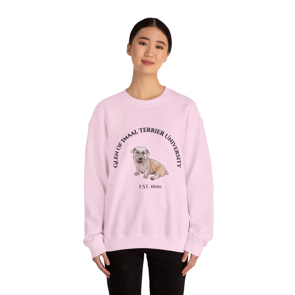 Glen of Imaal Terrier University Sweatshirt  - "Proudly Representing the Best of the Breed!"