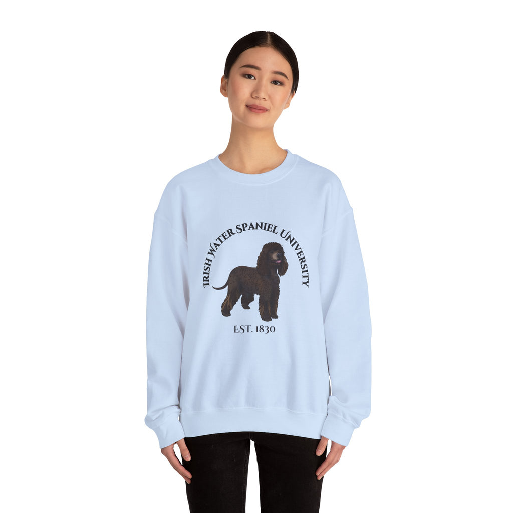 Irish Water Spaniel University Sweatshirt  - "Proudly Representing the Best of the Breed!"