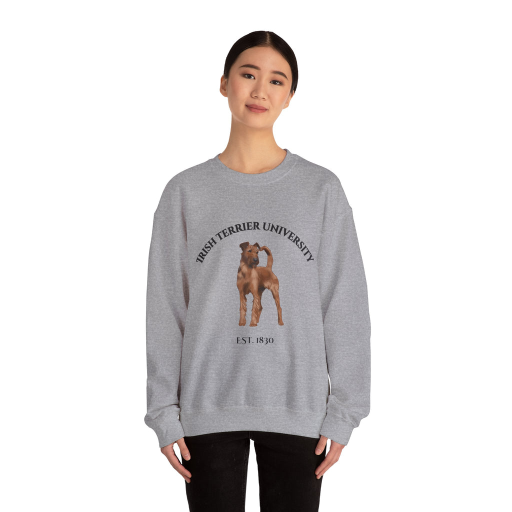 Irish Terrier University Sweatshirt - "Proudly Representing the Best of the Breed!"
