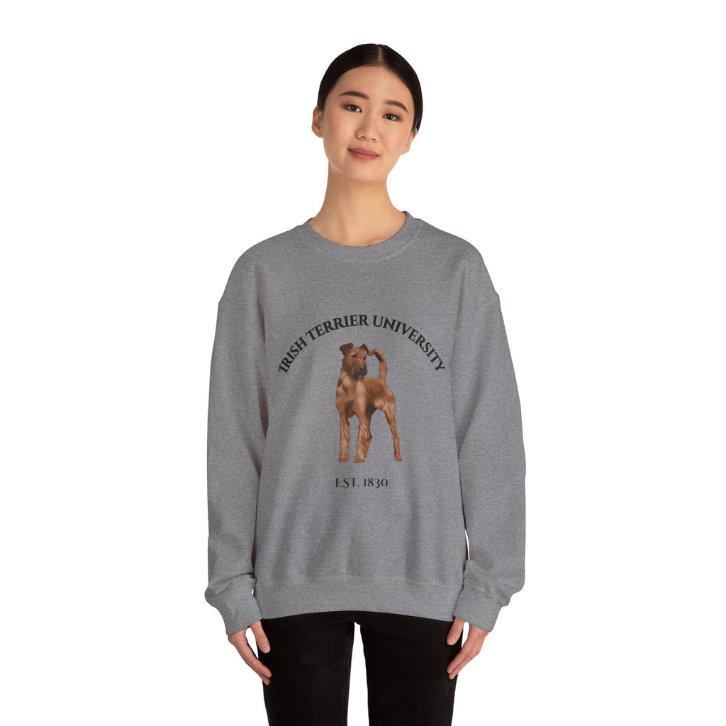 Irish Terrier University Sweatshirt - "Proudly Representing the Best of the Breed!"